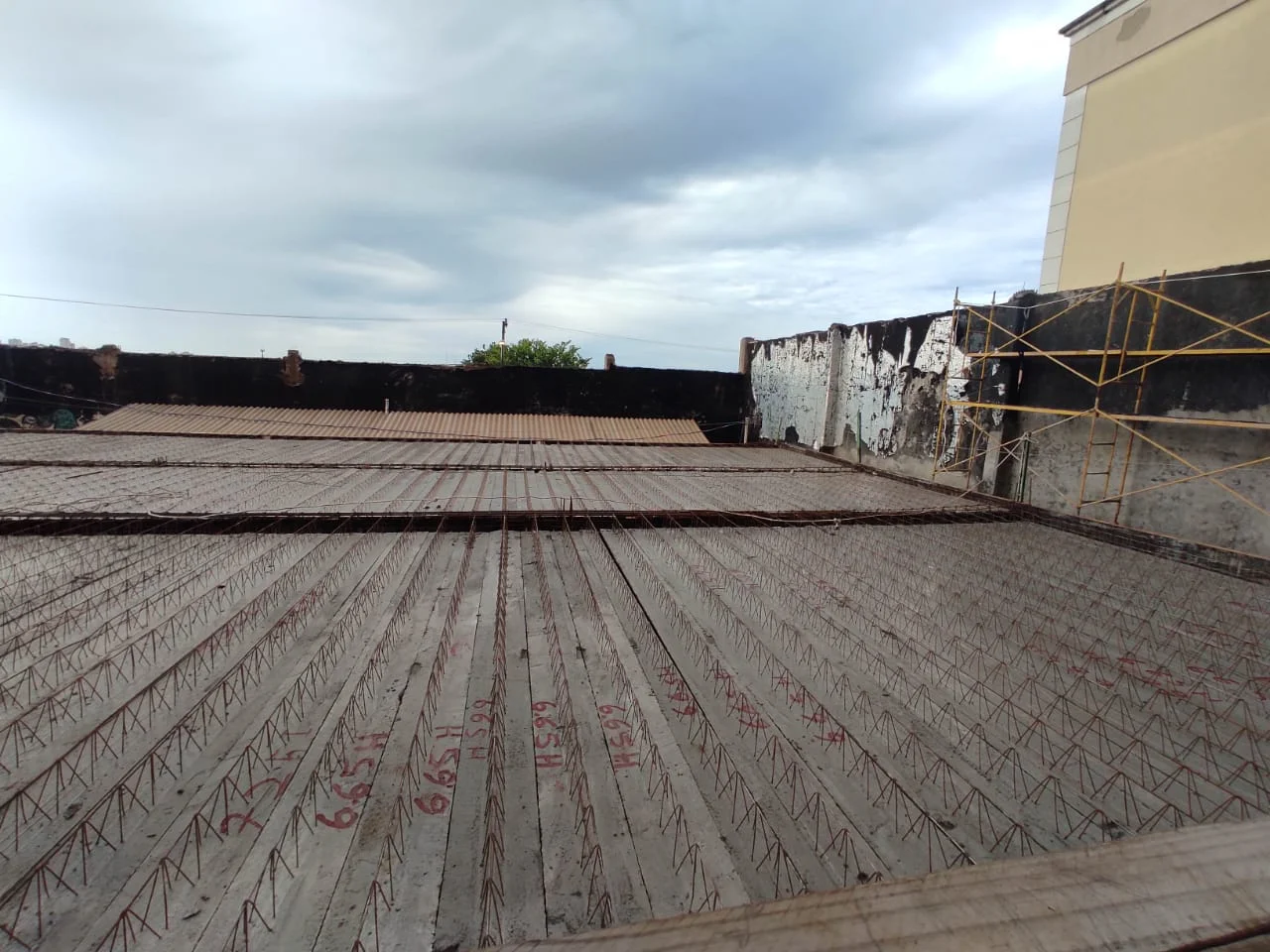 Obra 31/01/2025 - Foto 8